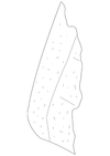 Hood Seal - GM (96624424)