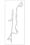 Door Shell - Ford (E8FZ-6120125-A)
