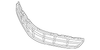 Grille - Toyota (53101-06190-B1)