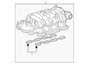 Automatic Transmission Oil Cooler Hose - GM (25684133)