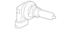 Door Weather-Strip - Buick (25725405)