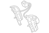 Nut, Rear License Plt Lp Molding - GM (89025301)