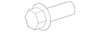 Body Side Molding - Ford (YF5Z-16A038-EAPTM)