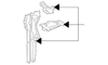 Side Support - Toyota (53203-47900)