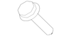 Front Door Molding - Mopar (YW92AJCAA)