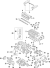Rear Door Molding - Mopar (YZ51DX8AA)