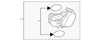 Rear Outer Seat Belt, Right - Mopar (YD72XDVAD)